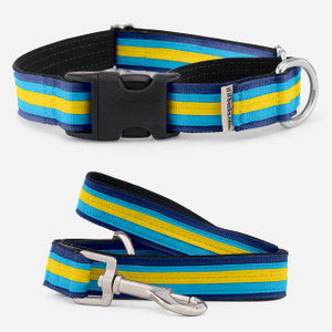 Striped Comfort Martingale with plastic buckle & leash set